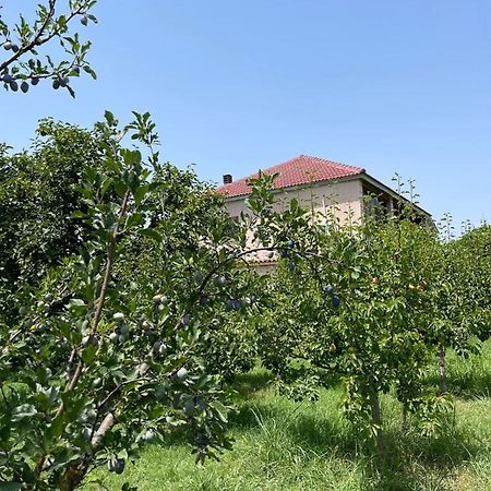Villa Mance 베라트 외부 사진