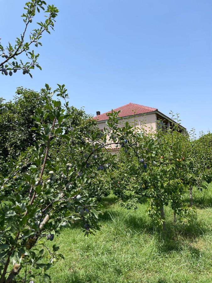 Villa Mance 베라트 외부 사진