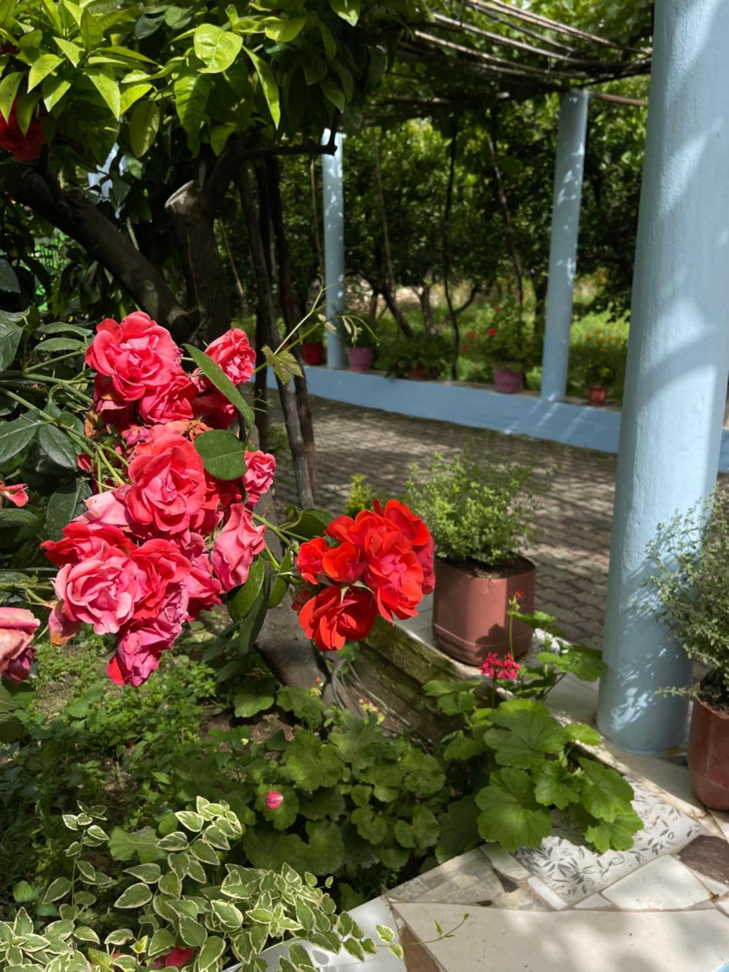 Villa Mance 베라트 외부 사진