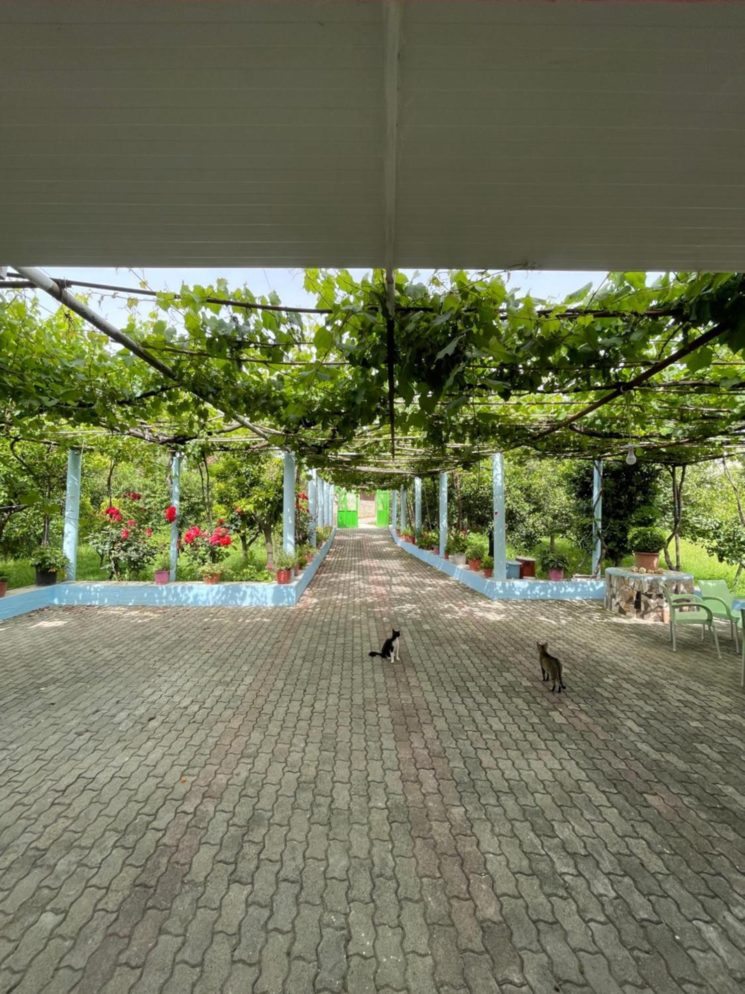 Villa Mance 베라트 외부 사진