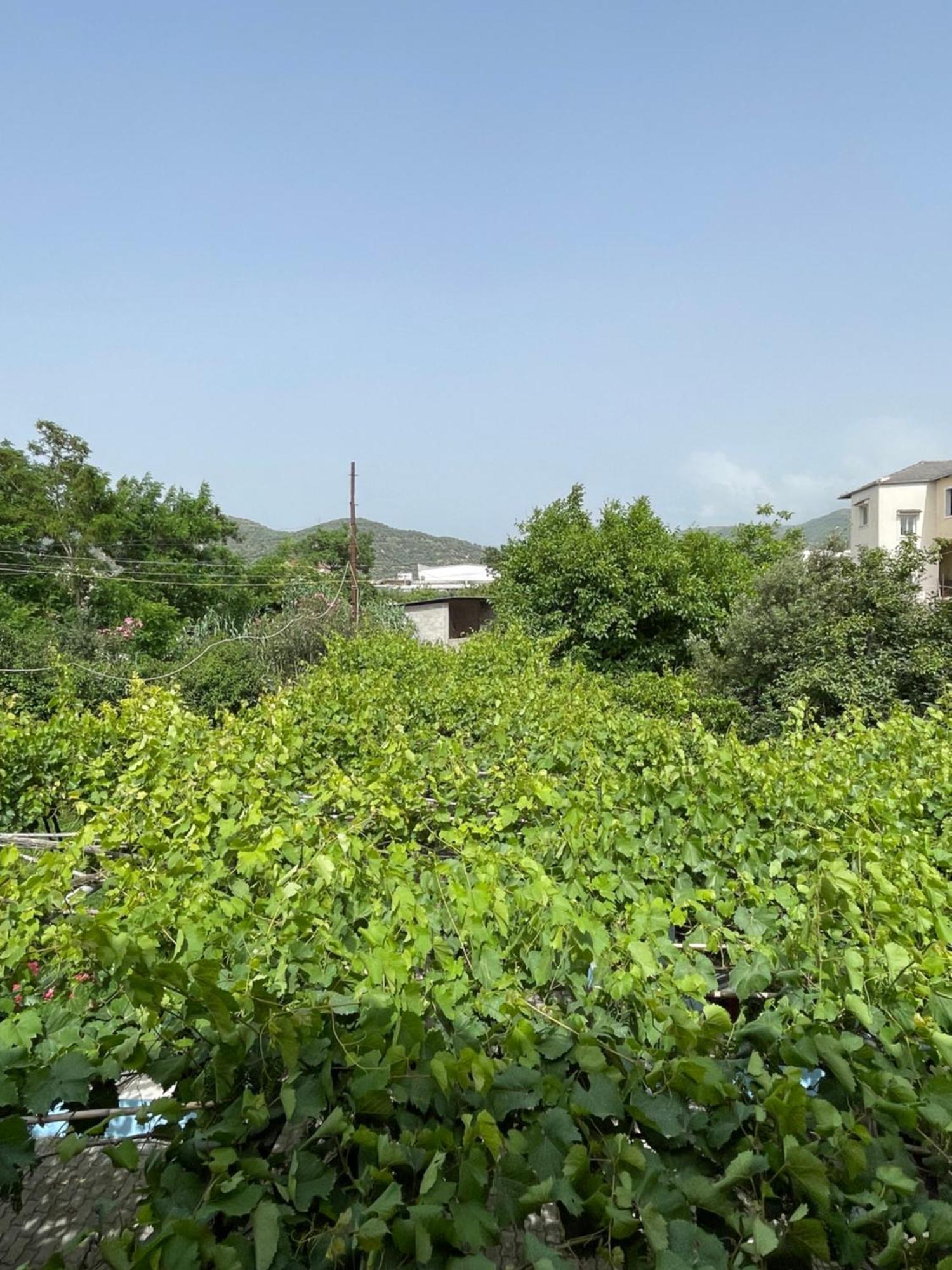 Villa Mance 베라트 외부 사진